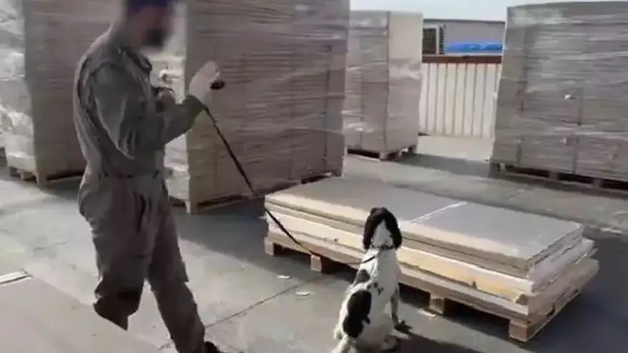 GÜMRÜK OPERASYONLARI, KAÇAKÇILIKLA MÜCADELEDE DEV ADIM!