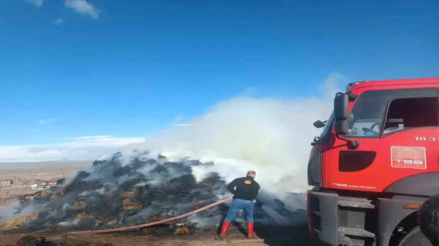 Iğdır’da ot yangını