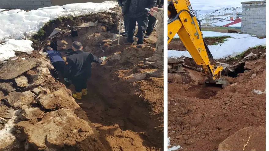 Doğubayazıt'ta hayvanlar çöken çatının altında kaldı