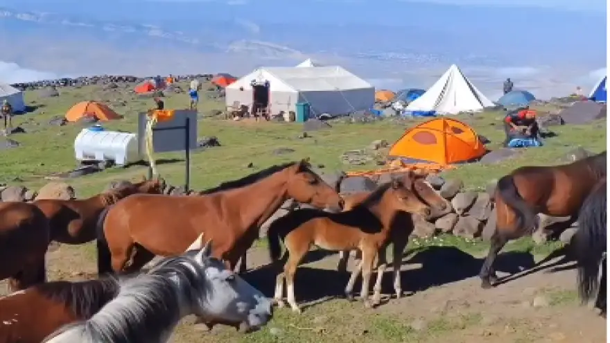 Doğubayazıt’ta Ağrı Dağı 3200 Metre Kampı