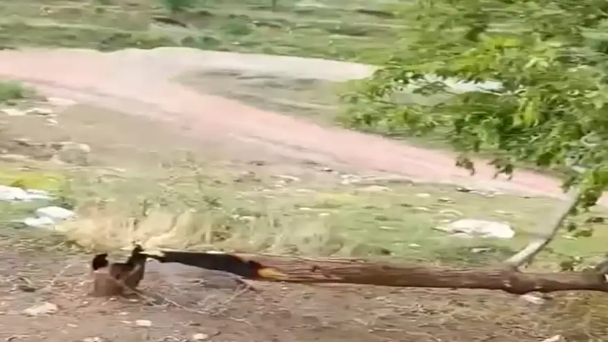 İshakpaşa Sarayı Çevresindeki Kirlilik Tepki Çekiyor