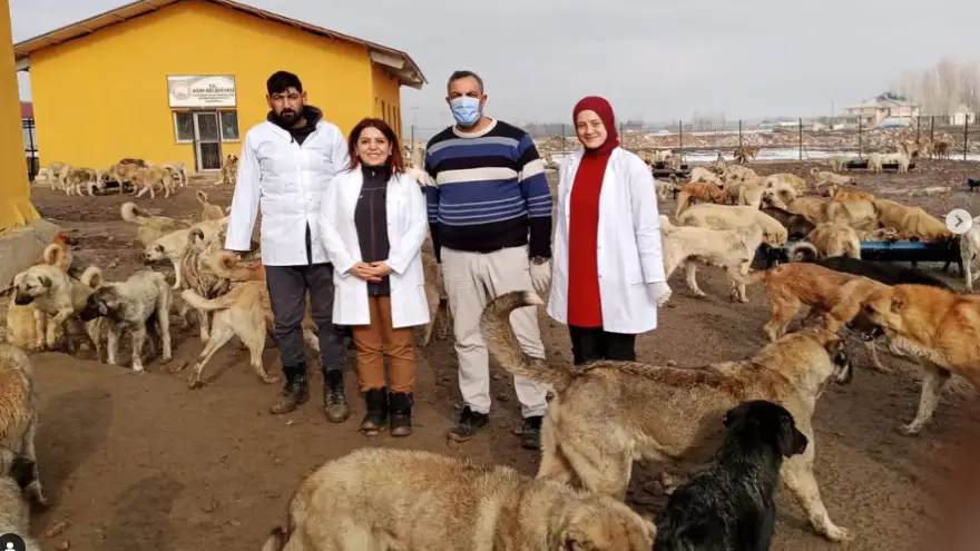 Ağrı Belediyesi’nden Sokak Hayvanlarına Büyük Destek
