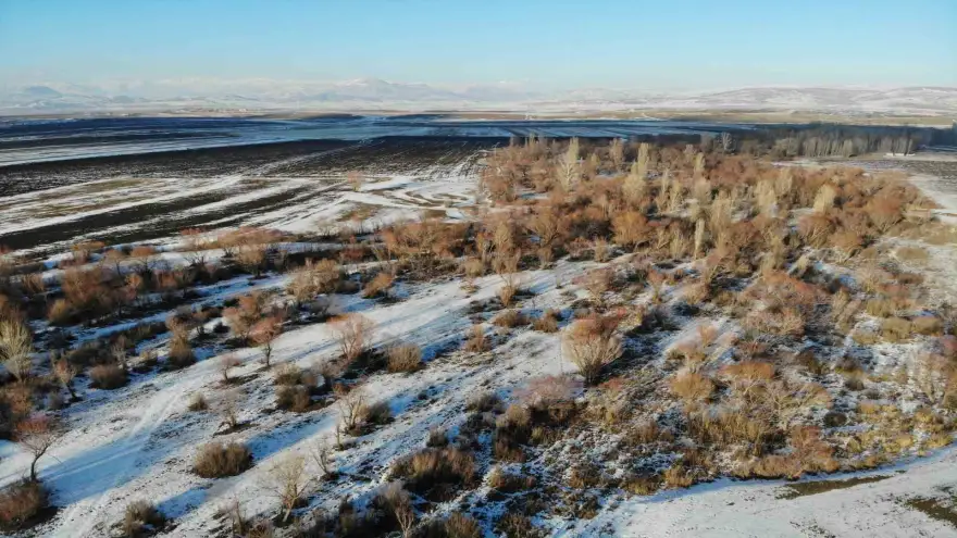 Ağrı’da kış manzarası göz kamaştırdı