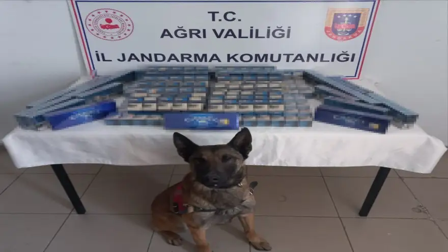 Ağrı’da 6 bin 548 paket kaçak sigara ele geçirildi