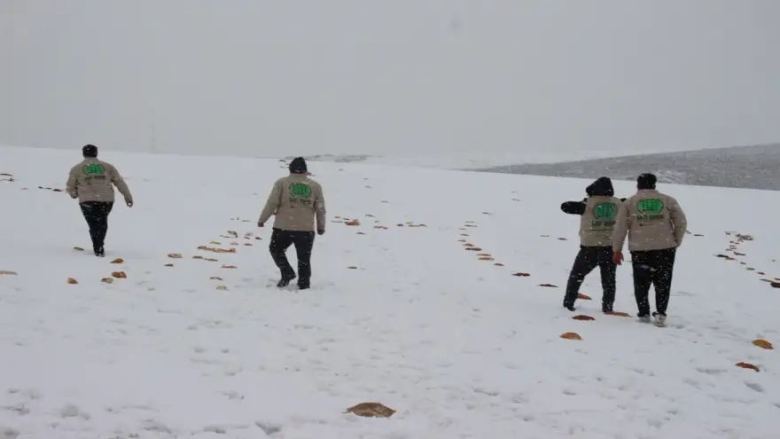 Ağrı'da Hayvanların doğada aç kalmaması için çalışma yaptılar