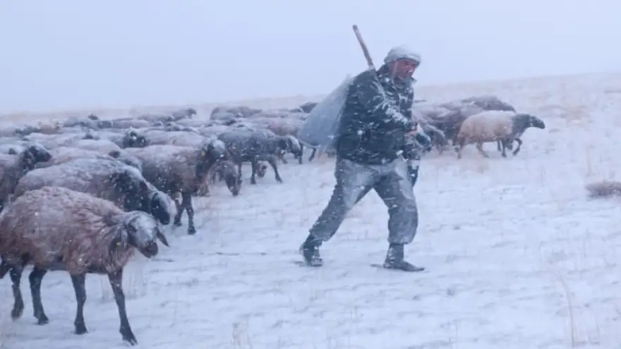Ağrı’da kar yağışı hayatı felç etti