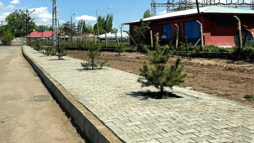 Ağrı Belediyesi Kent Geneline 720 Sarı Çam Ağacı Dikti