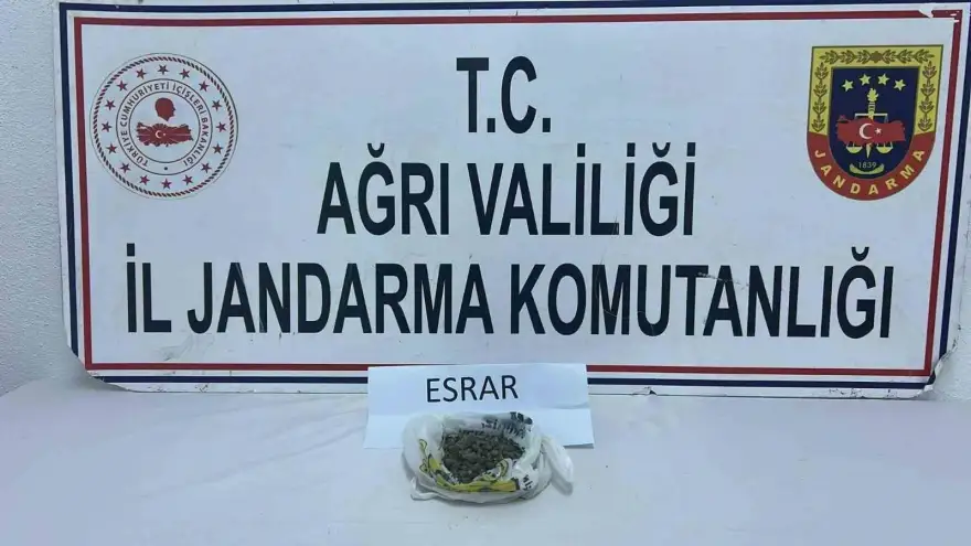 Ağrı’da uyuşturucu operasyonu: 511 kök kenevir ve 50 gram esrar ele geçirildi