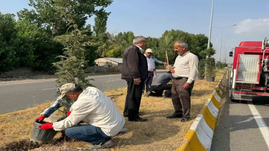 Patnos Belediyesi yeşil alan çalışmalarını aralıksız sürdürüyor