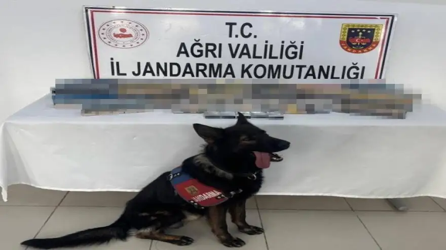 Doğubayazıt'ta bin 227 paket gümrük kaçağı sigara ele geçirildi