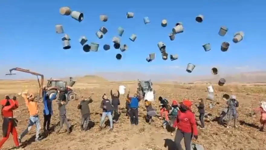 Ağrı'da patates hasadı tamamlandı: 500 Dönüm araziden bin 650 ton ürün elde edildi