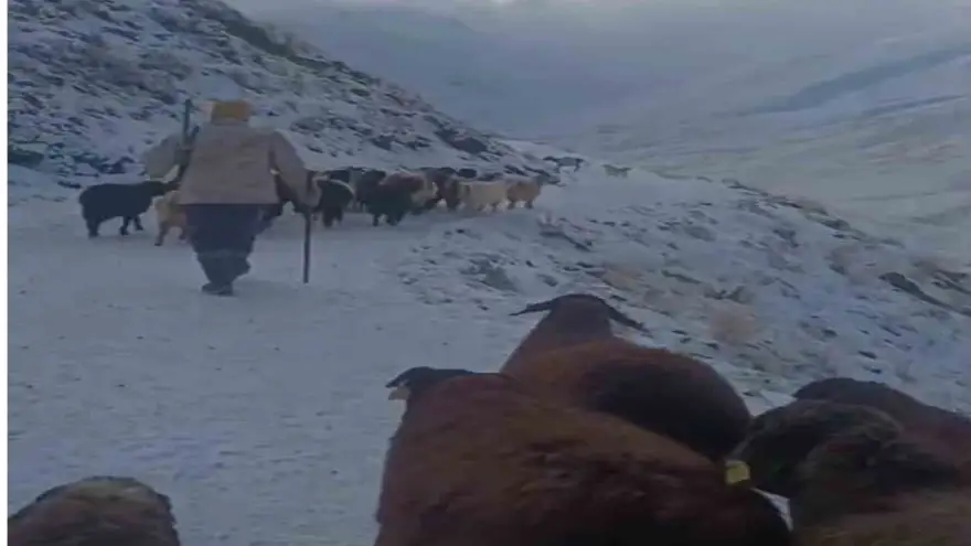 Ağrı’da kar ve tipi hayatı durdurdu