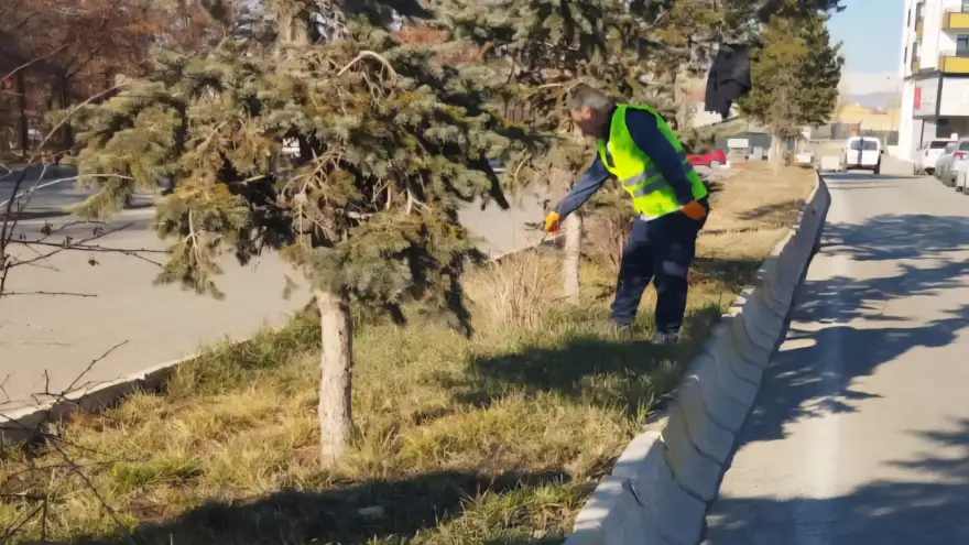 ​Ağrı’da Ağaç ve Çalılar Bakıma Alındı