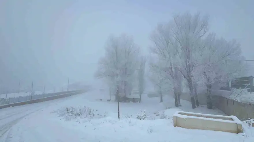 Ağrı’da Sibirya soğukları hayatı durma noktasına getirdi