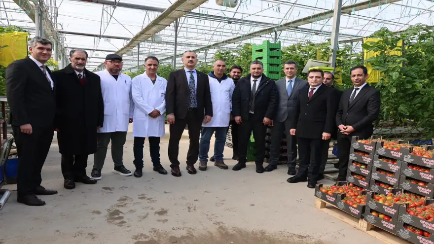 ​Diyadin’de Jeotermal Seferberliği, 1.300 Dekarlık Dev Alanda Üretim Katlanıyor!