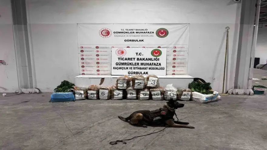 Ağrı’da Gürbulak Sınır Kapısı’nda 51 kilo 520 gram esrar ele geçirildi