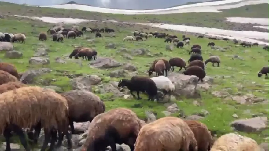 Ağrı’nın yaylalarında yaz ve kış bir arada