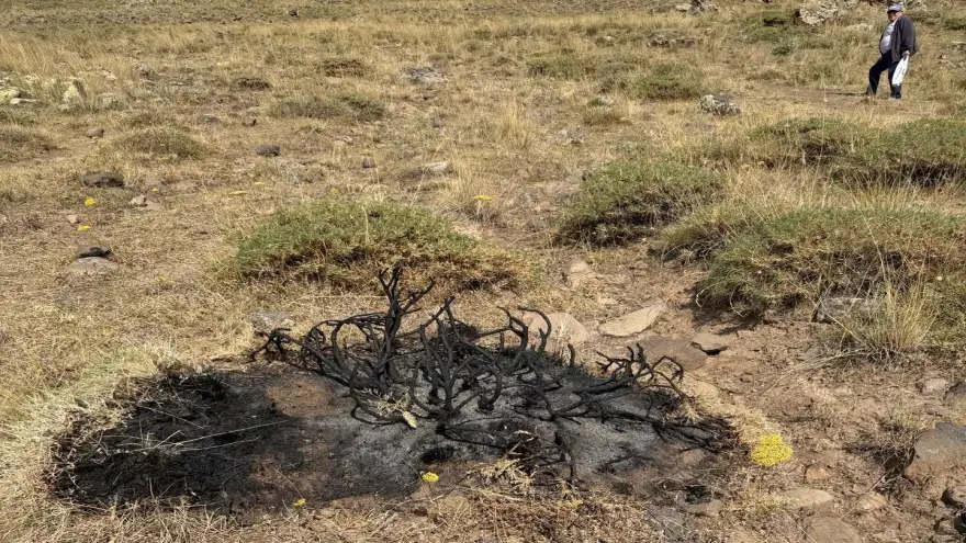 AĞRI DAĞI TIRMANIŞ YOLUNDA DOĞA TAHRIBATI