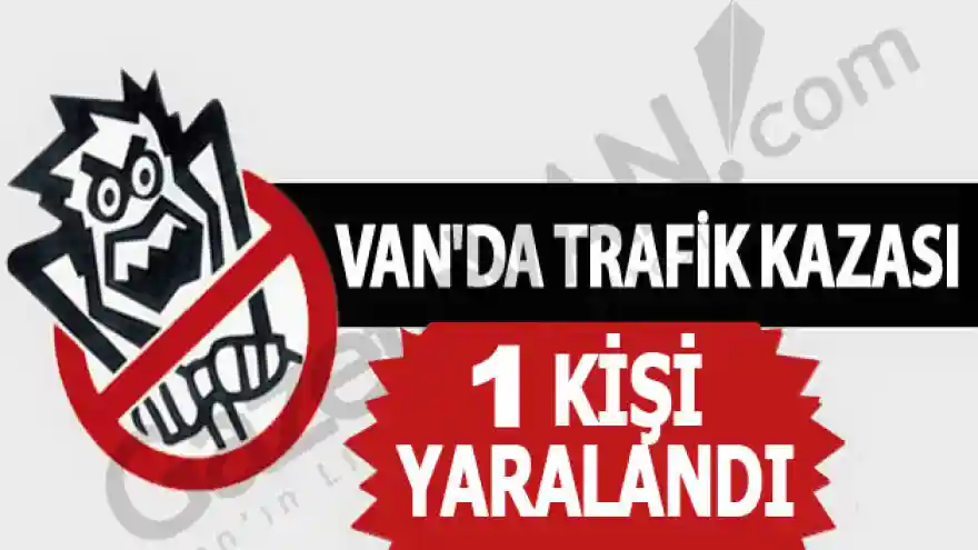 Çaldıran'da trafik kazası; 1 yaralı
