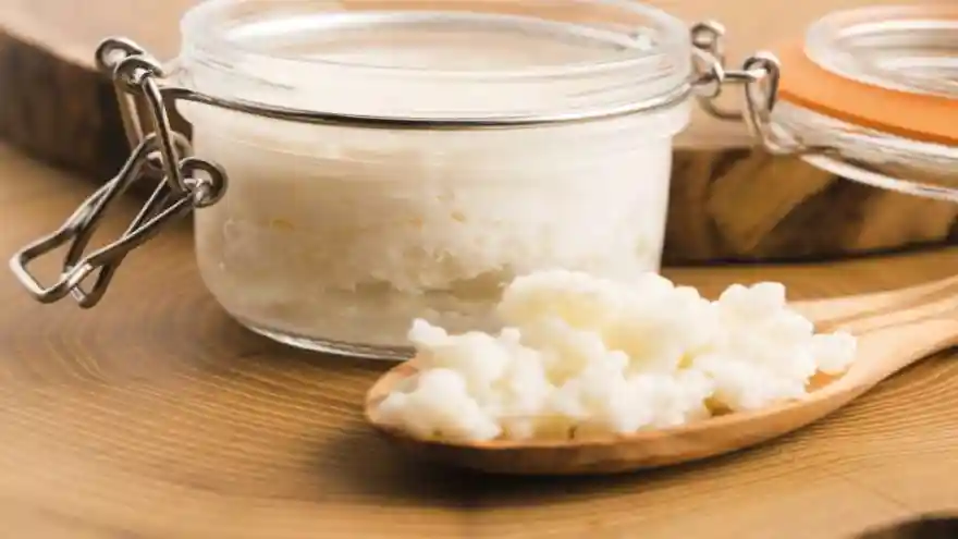Kefirin Faydaları & Kefir Hakkında Bilmeniz Gereken 23 Önemli Bilgi