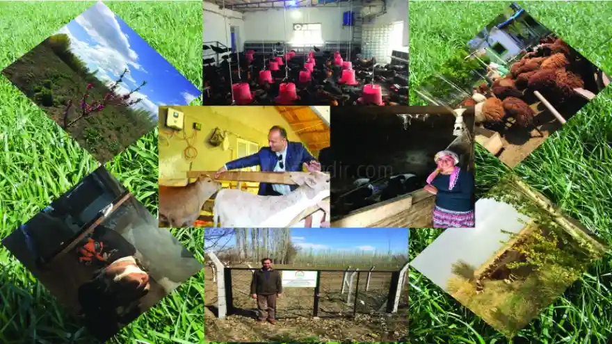 Iğdır Gıda Tarım ve Hayvancılık İl müdürlüğünde büyük hizmet
