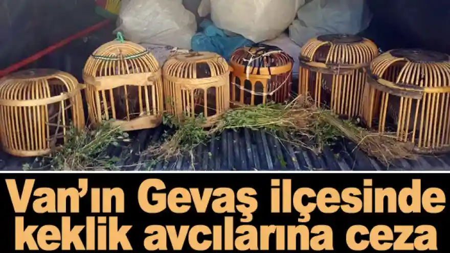 Van'ın Gevaş ilçesinde keklik avcılarına ceza
