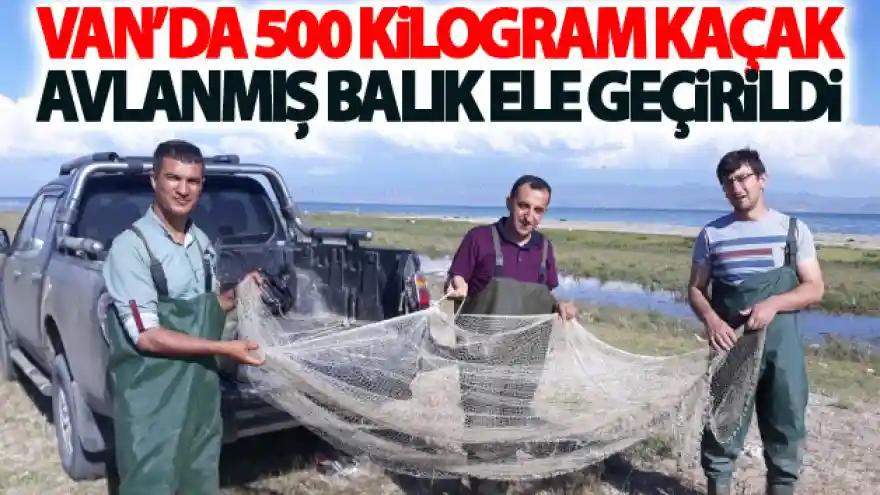 Van'da 500 kilogram kaçak avlanmış balık ele geçirildi
