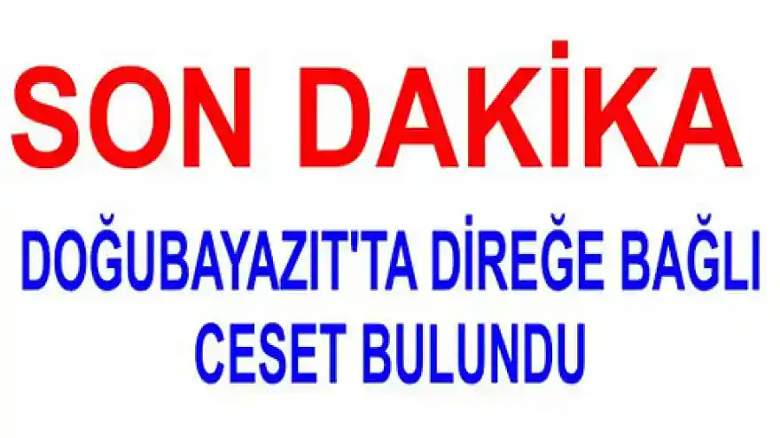 Doğubayazıt'ta elektrik direğine bağlı ceset bulundu