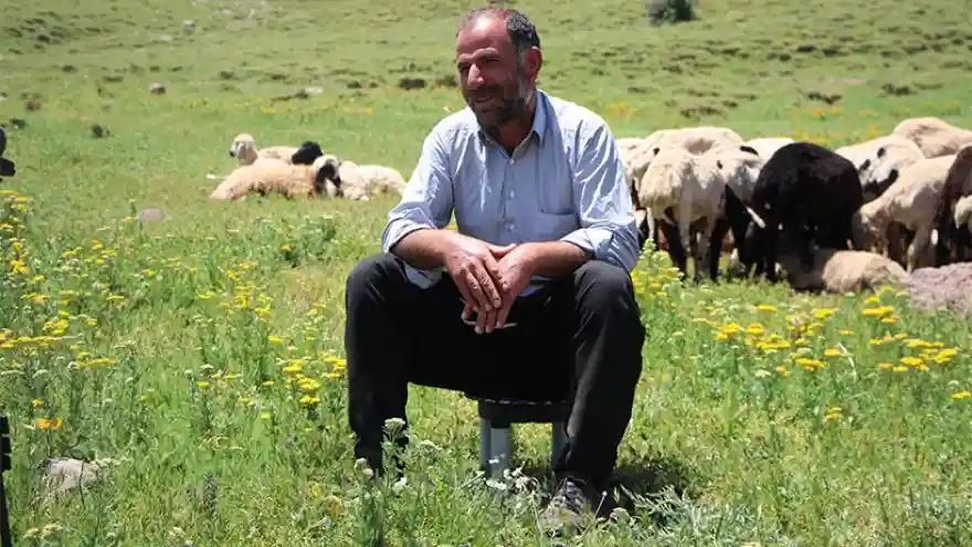 Yaylalar Bereketlendi