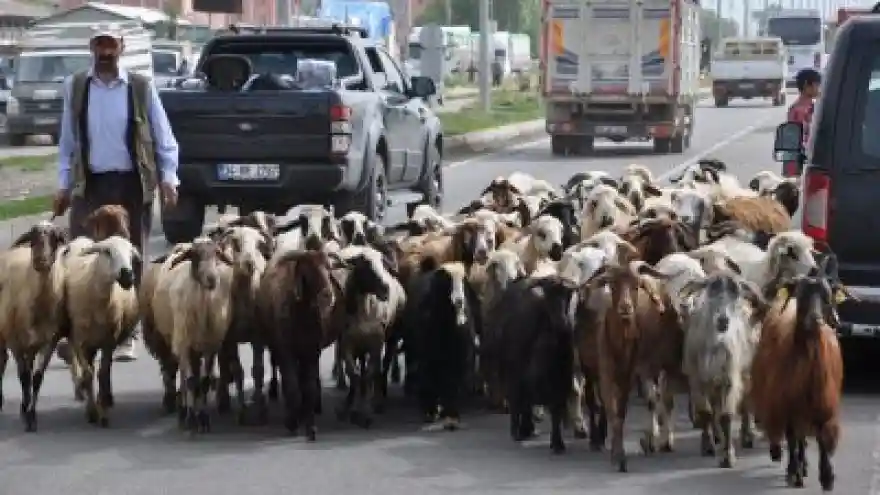Kalabalıklar Ama Alıcıları Yok