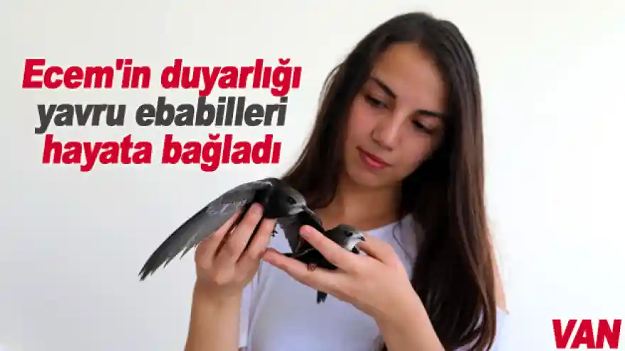 Ecem'in duyarlılığı yavru ebabilleri hayata bağladı
