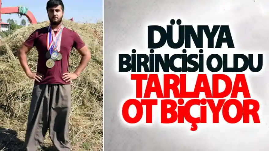 Dünya şampiyonu oldu, tarlada ot biçiyor
