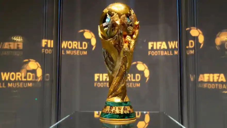 Dünya Kupası finalini yönetecek hakem açıklandı
