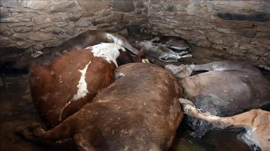 SICAKTAN SIĞINDIKLARI KULÜBEDE TELEF OLDULAR