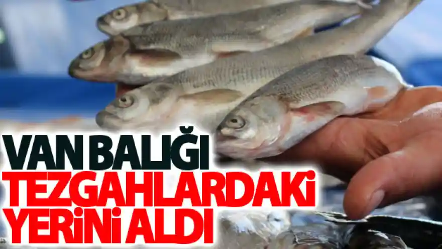 Van balığı tezgahlardaki yerini aldı
