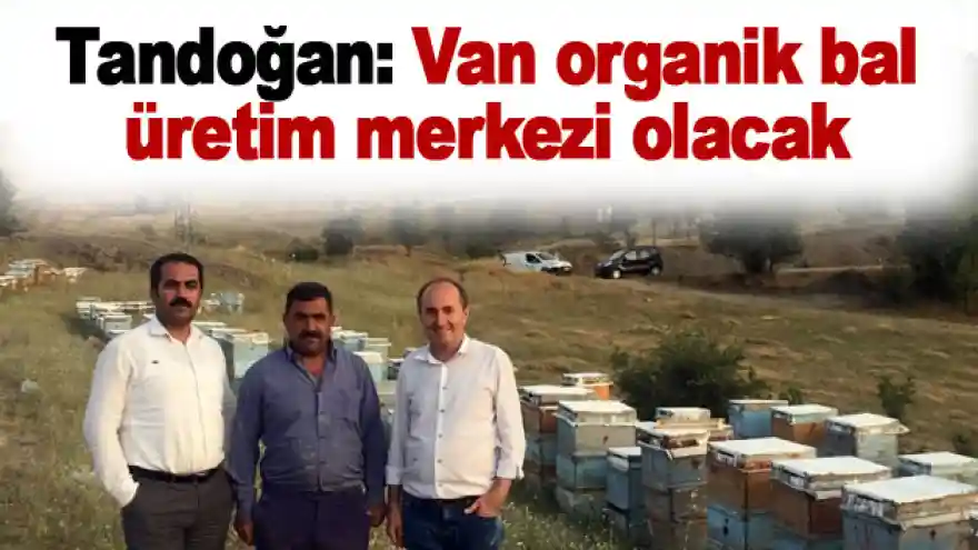 Tandoğan: Van organik bal üretim merkezi olacak
