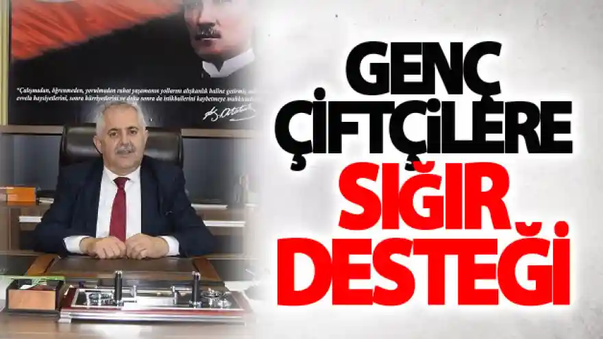 Genç çiftçilere sığır desteği
