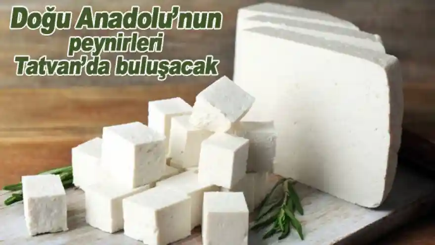 Doğu Anadolu'nun peynirleri Tatvan'da buluşacak
