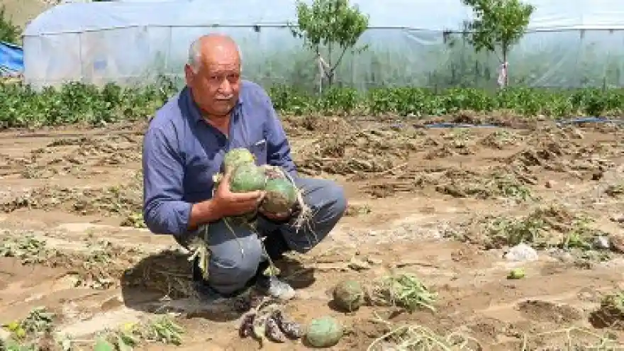 Sel, Sera ve Ekili Alanlara Zarar Verdi
