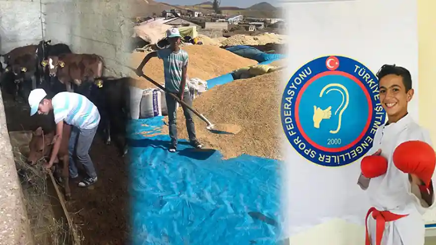 Çoban+Çiftçi+Şampiyon