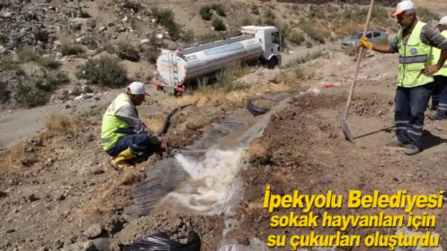 İpekyolu Belediyesi sokak hayvanları için su çukurları oluşturdu
