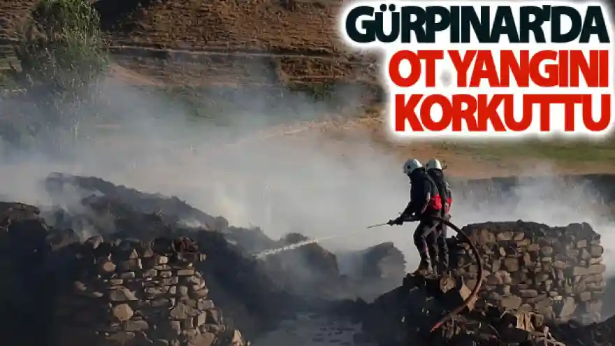 Gürpınar'da ot yangını korkuttu
