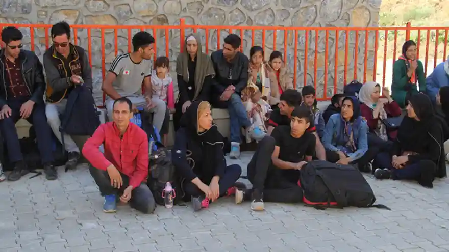 43 Kaçak Göçmen Yakalandı