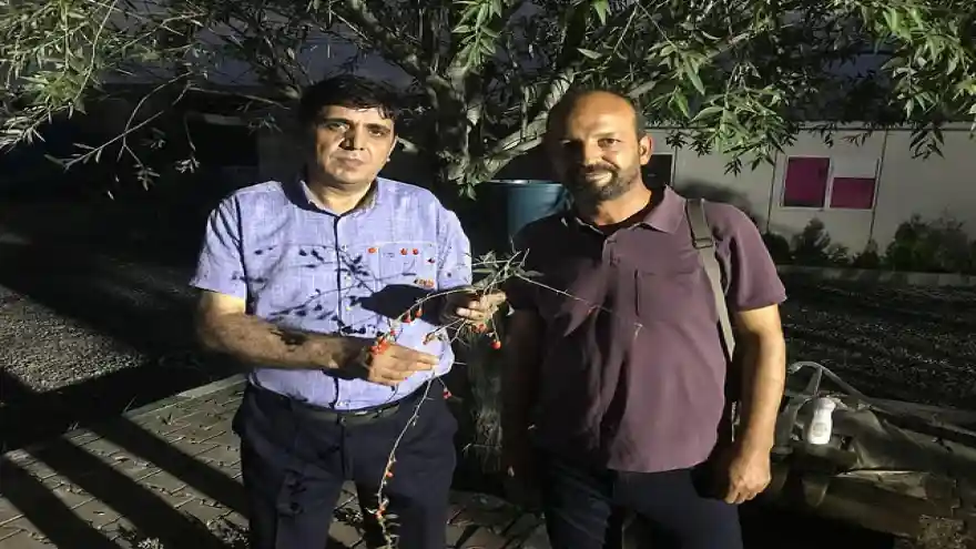 IĞDIR ÜNİVERSİTESİ TARAFINDAN YETİŞTİRİLEN TATLI MISIR VE GİLABORU BİTKİSİNDEKİ VERİM YÜZLERİ GÜLDÜRDÜ