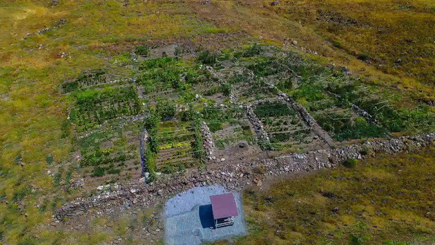 IĞDIR ÜNİVERSİTESİ BAL ORMANI VE BOTANİK BAHÇESİ HIZLA BÜYÜYOR
