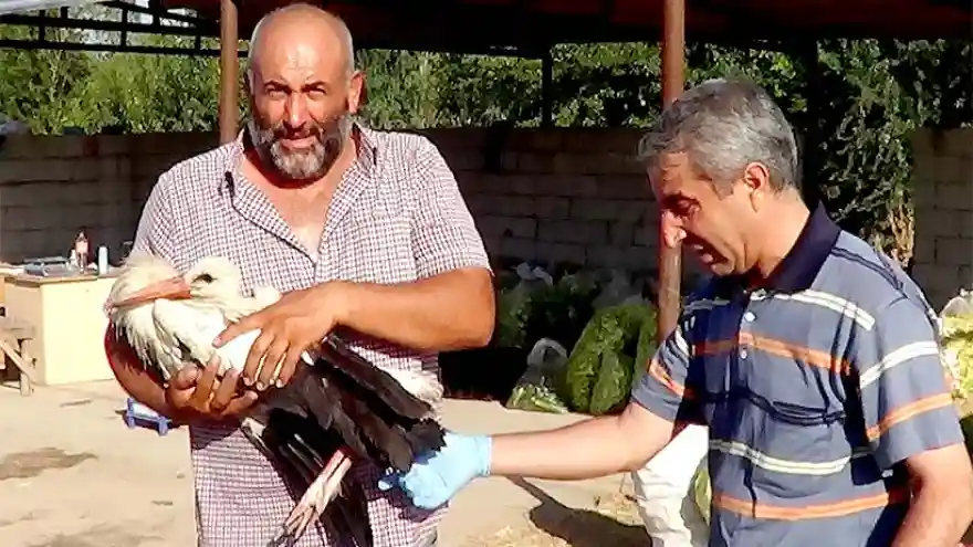 Tedavi Sonrası Uçabilecek
