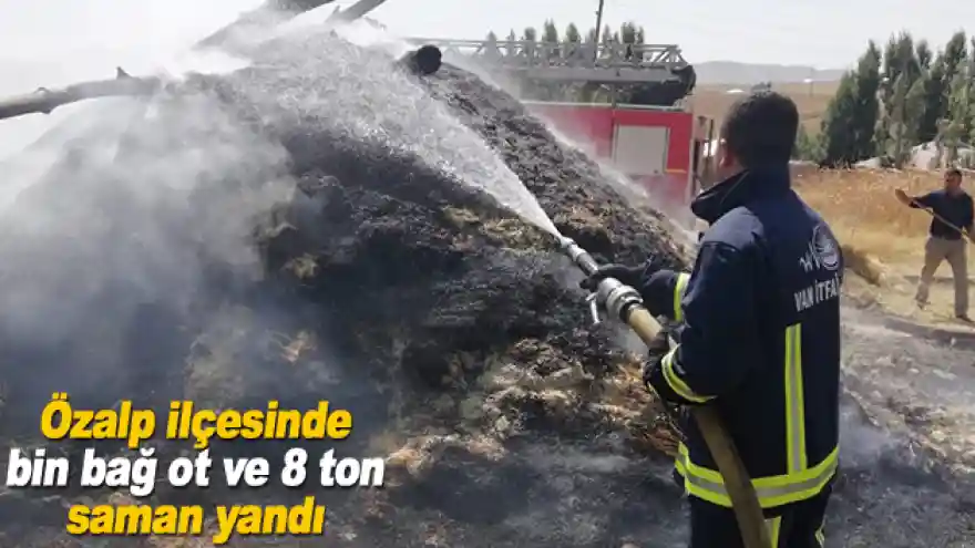 Özalp ilçesinde bin bağ ot ve 8 ton saman yandı
