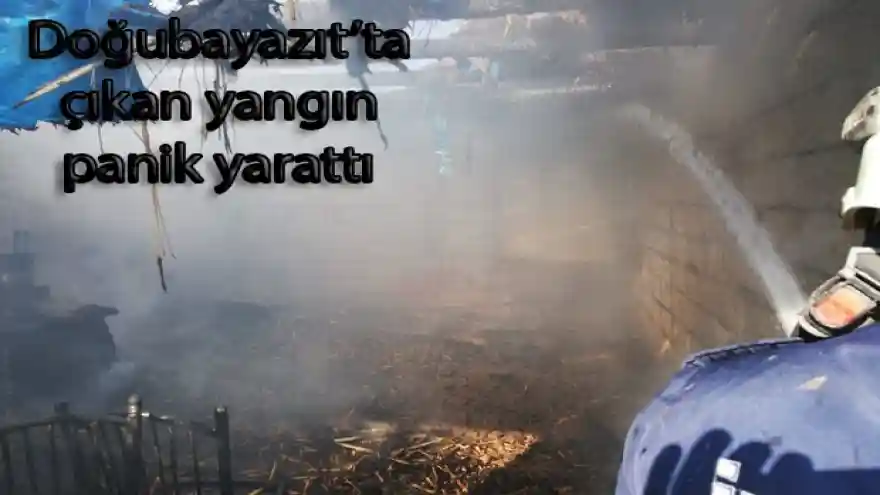 Doğubayazıt'ta çıkan yangın panik yarattı