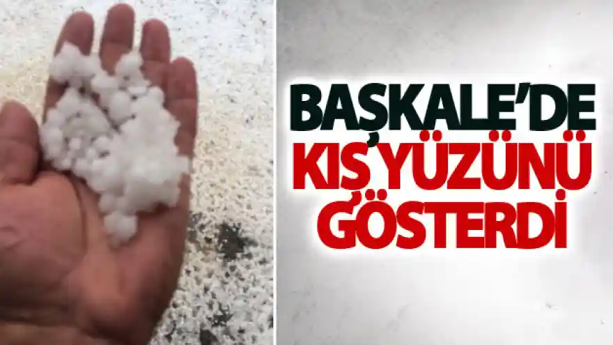 Başkale'de kış yüzünü gösterdi
