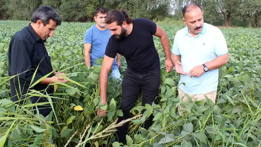 Soya Toprakla Buluştu 
